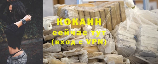 молекула духа Бронницы