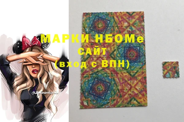 мдпв Бородино