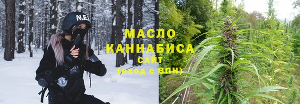 мдпв Бородино