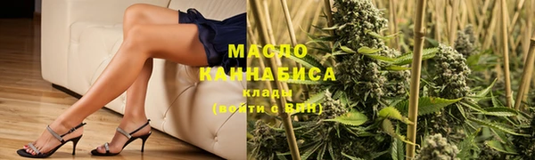 мдпв Бородино