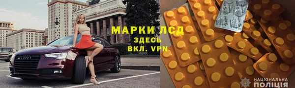 мдпв Бородино